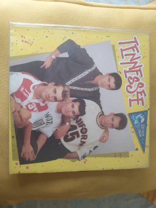 Lote de varios vinilos de música antigua