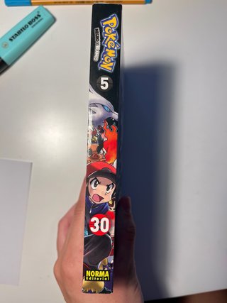 Manga Pokemon Negro y Blanco