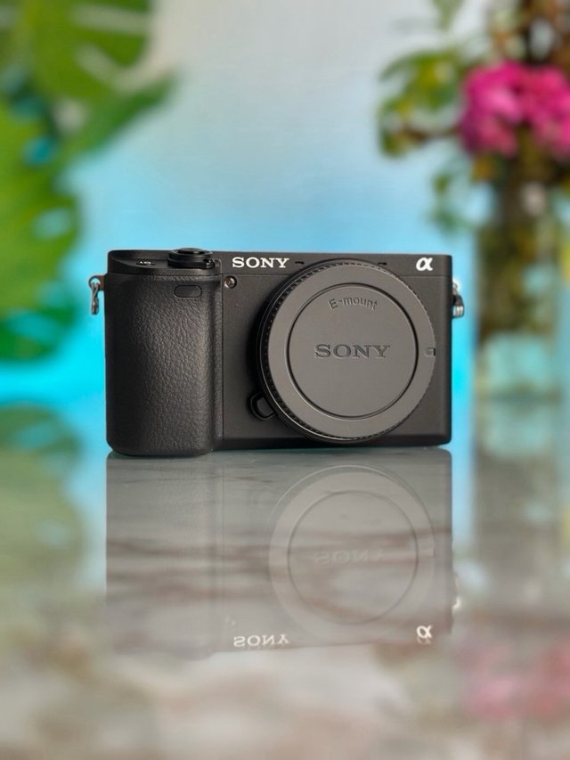 (99 Disparos) Sony A6400 + 18-135mm