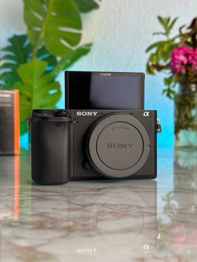 (99 Disparos) Sony A6400 + 18-135mm