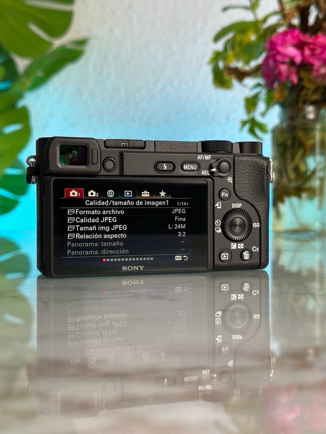 (99 Disparos) Sony A6400 + 18-135mm