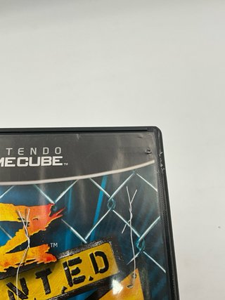 Taz Wanted per Nintendo GameCube
