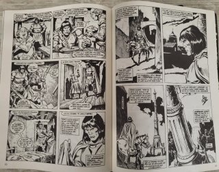 El Reino Salvaje de Conan.coleccion 5 comics