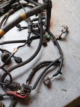 Cableado Motor Honda F18B2