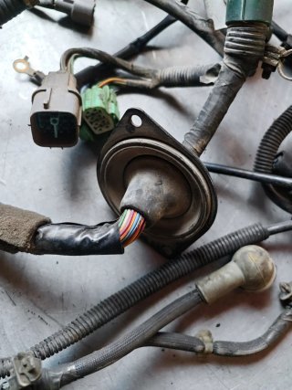 Cableado Motor Honda F18B2