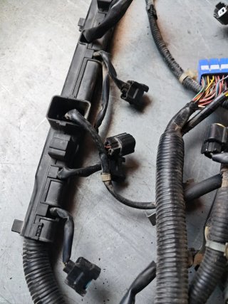 Cableado Motor Honda F18B2