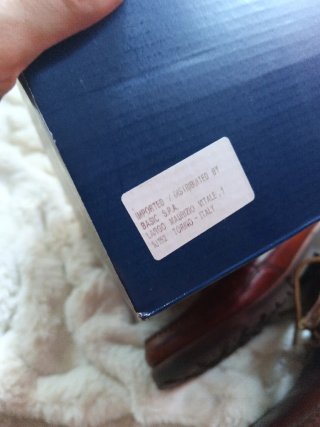 Botines Sebago