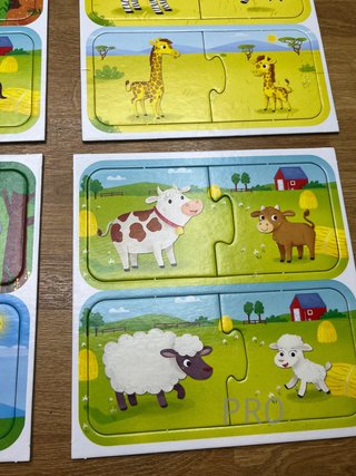 Juego de Lógica y Reflexión Lisciani