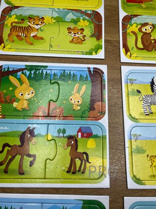 Juego de Lógica y Reflexión Lisciani