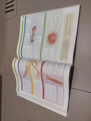BIOLOGIA, GEOLOGIA ETA INGURUMEN ZIENTZIAK 1 BT...