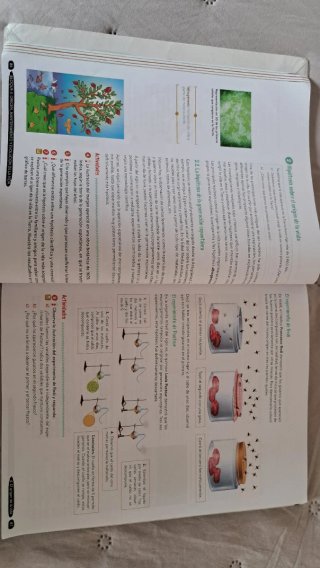 Biología y Geología, 4 ESO, Andalucía
