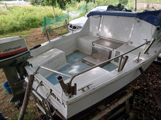 Barco Arcoa 520 con motor Johnson 25 CV