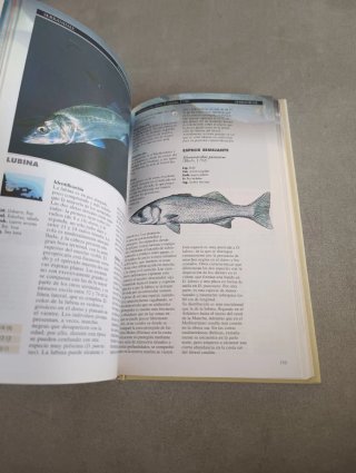 PECES DE MAR DE LA PENÍNSULA IBÉRICA. Planeta