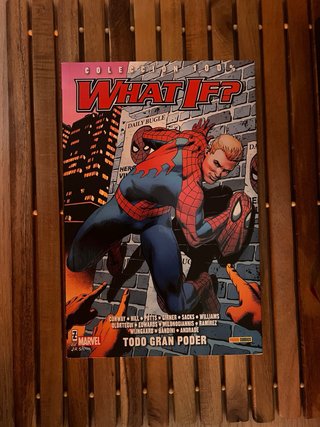 Lote de libros y comics variados