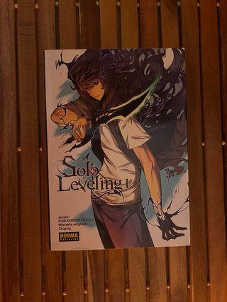 Lote de libros y comics variados