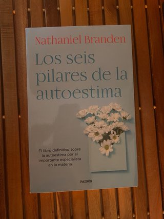 Lote de libros y comics variados