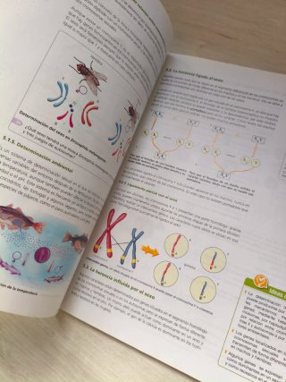 Biología y geología:  La evolución de la vida (2)