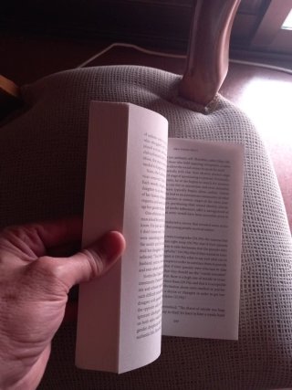 Libro Male female other?