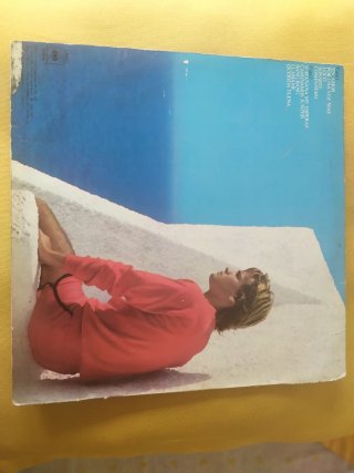 Lote de varios vinilos de música antigua