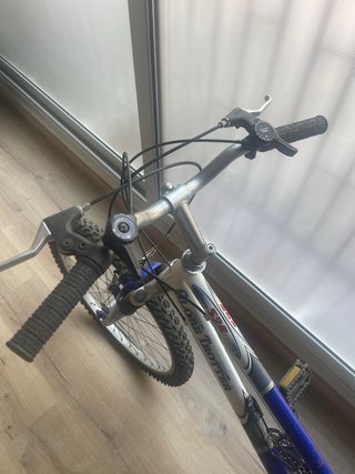 Bicicleta Globe Trotter