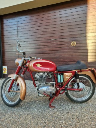 Ducati 175 TS restaurada - Motor en rodaje