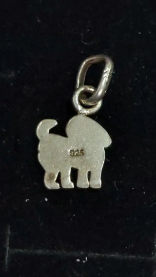 Colgante de Plata de Ley