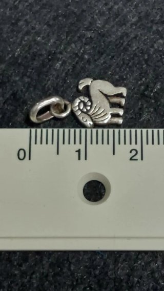 Colgante de Plata de Ley