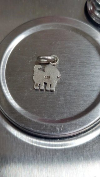 Colgante de Plata de Ley