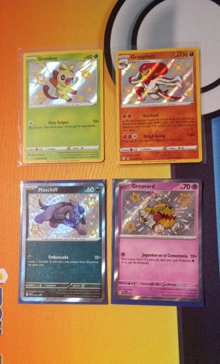 Carte mini Shiny Pokemon