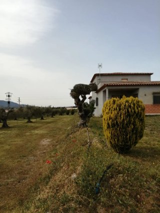 Alquiler de casa en Vinebre