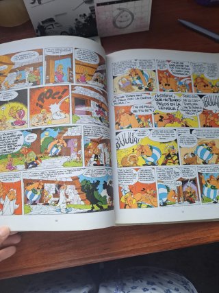 Asterix la rosa y la espada ,El hijo de Asterix.