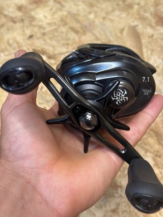 Carrete Daiwa Tatula 300HS-L Casting y pomos.