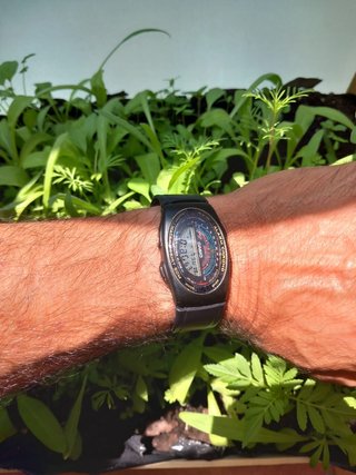Reloj Casio W-91 Negro