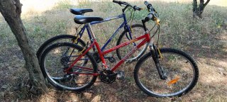 Bicicleta de Montaña Azul