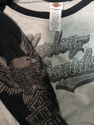 Camiseta Harley-Davidson Manga Larga Gris/Negra