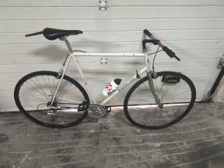 Bicicleta Zeus Clásica