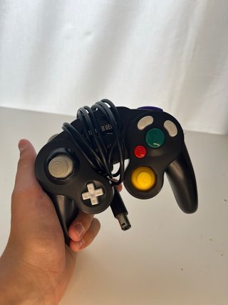 Nintendo GameCube Argento + Controller Nero