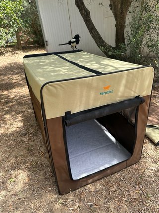 Caseta transportín perros Ferplast