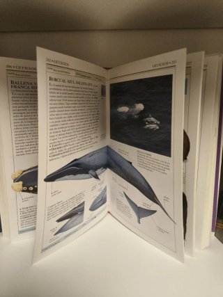 Libro Mamíferos