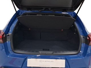 Lexus UX 2.0 250h Style