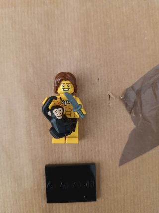 Lote de figuras LEGO