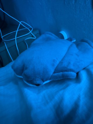 Tiburon de peluche suave