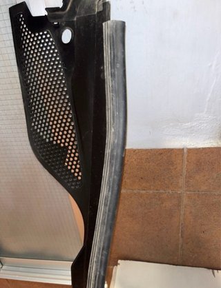 Vierteaguas/Torpedo Citroen C4 (2005)