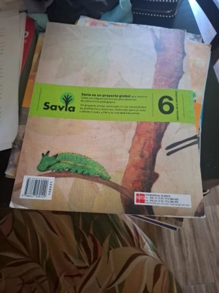 Ciencias de la naturaleza, 6 Primaria, Aragón S...