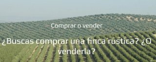 Finca Rústica 28,85 Ha Olivar Súper Intensivo