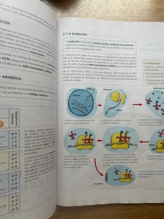 Libros 4ºESO Bioloxía e Xeoloxía
