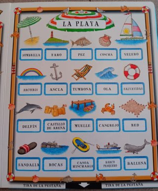 Mi mundo