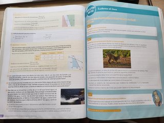Matemáticas B, 4 secundaria, Revuela
