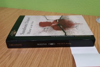 Novela negra Matar a un rico-Sandrone Dazieri