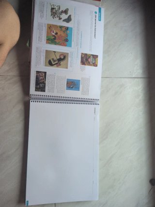 Cuaderno de Educación Plástica Visual y Audiovi...
